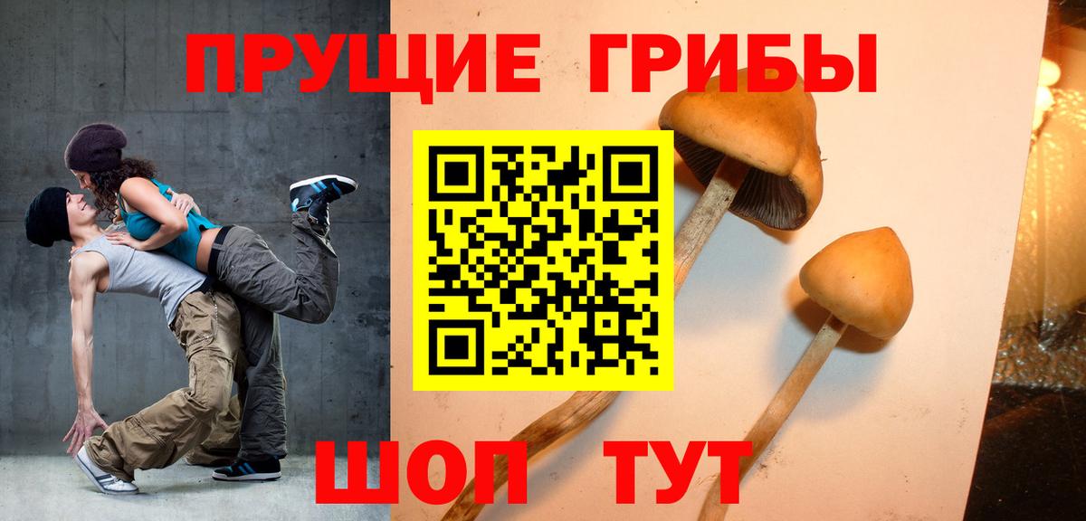 Галлюциногенные грибы Cubensis  Псилоцибиновые грибы MAGIC MUSHROOMS  Ижевск  Вход с VPN 
